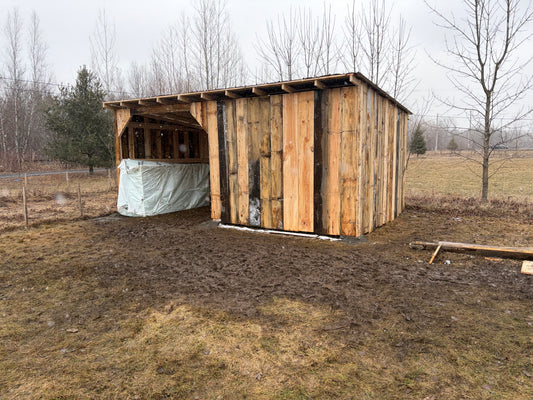 Abris pour chèvres,moutons ou poney
