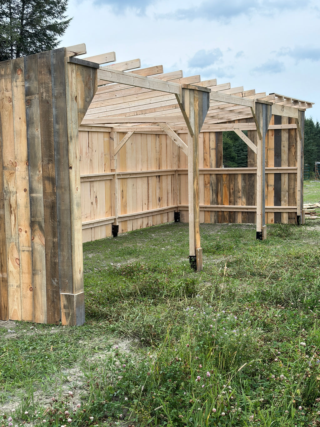 Abris à chevaux 10x30