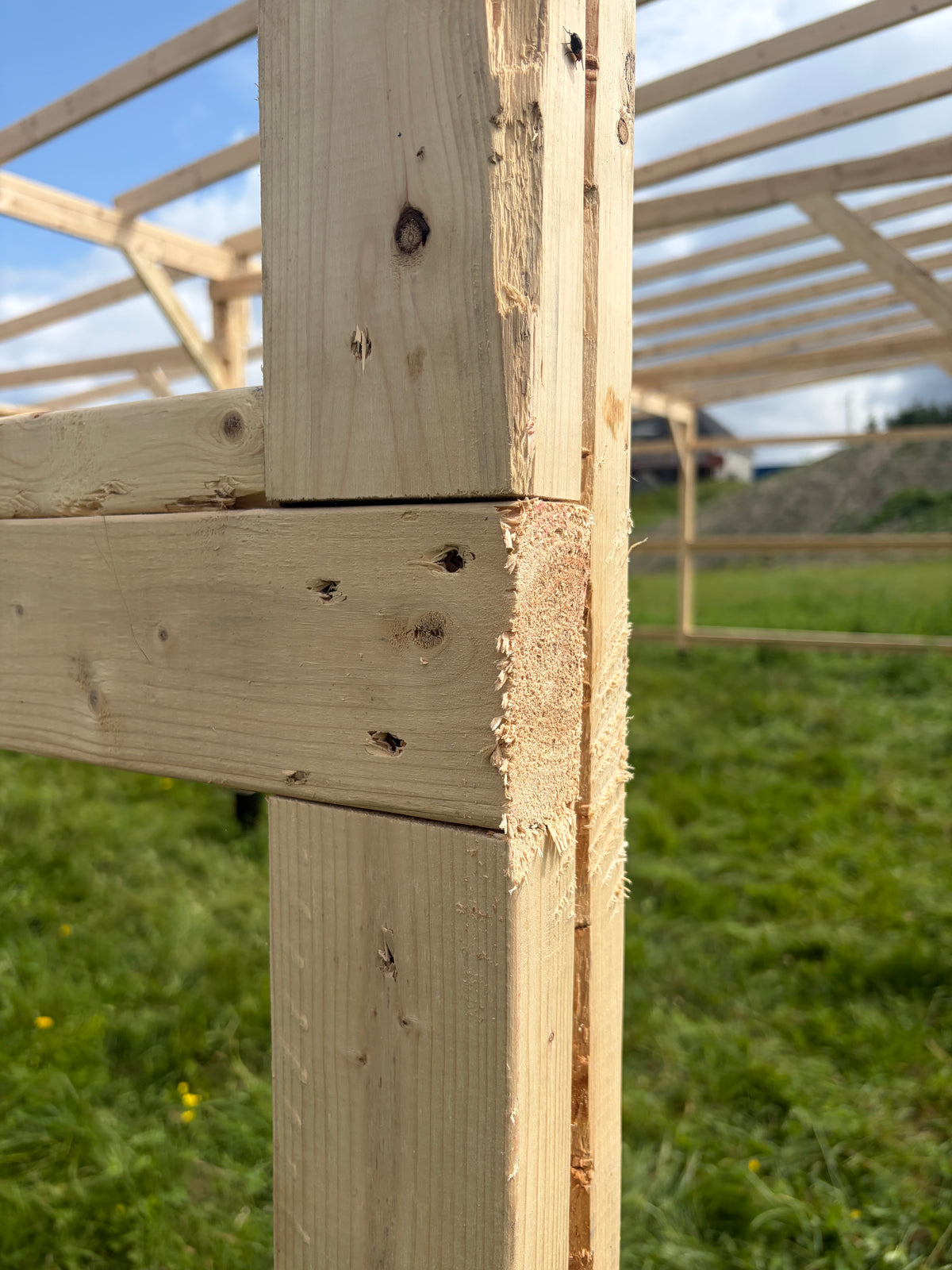 Abris à chevaux 10x30