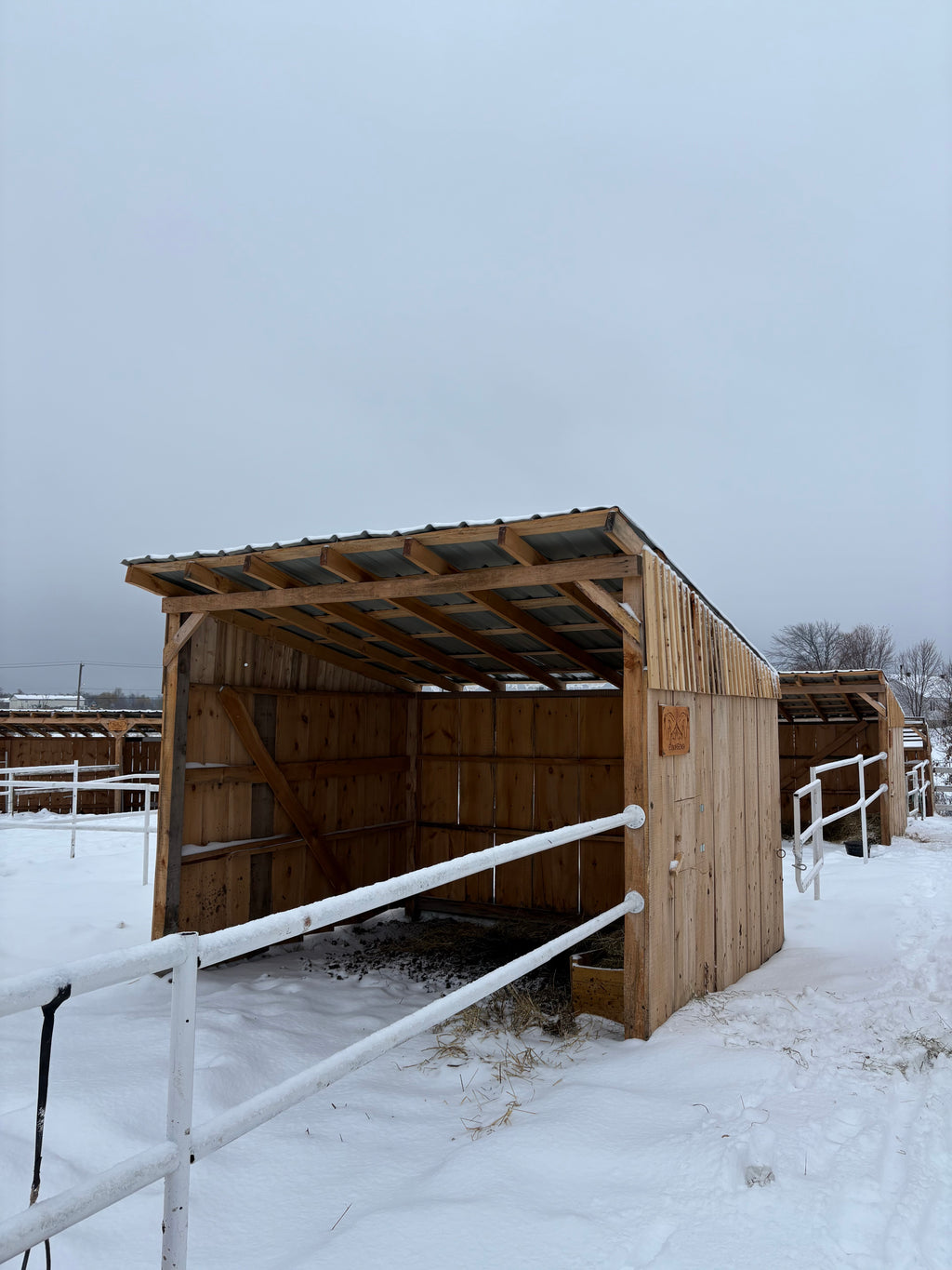 Abris pour chevaux 10x10