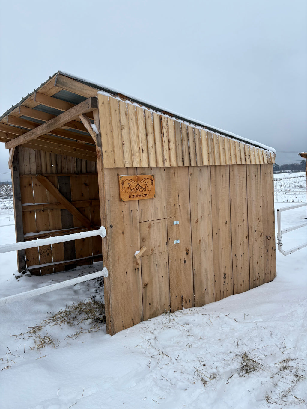 Abris pour chevaux 10x10