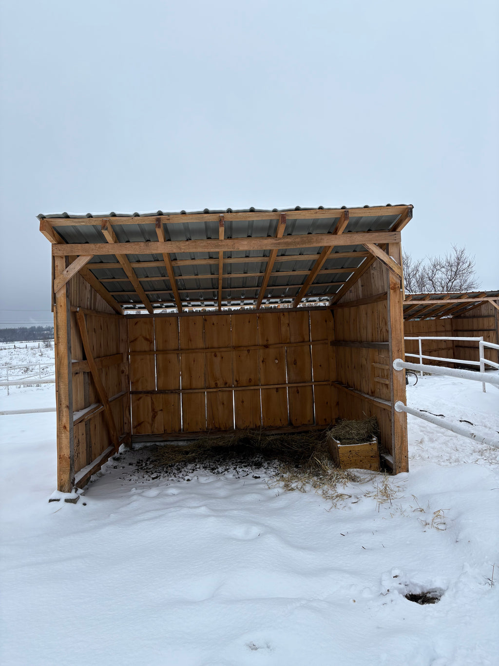 Abris pour chevaux 10x10
