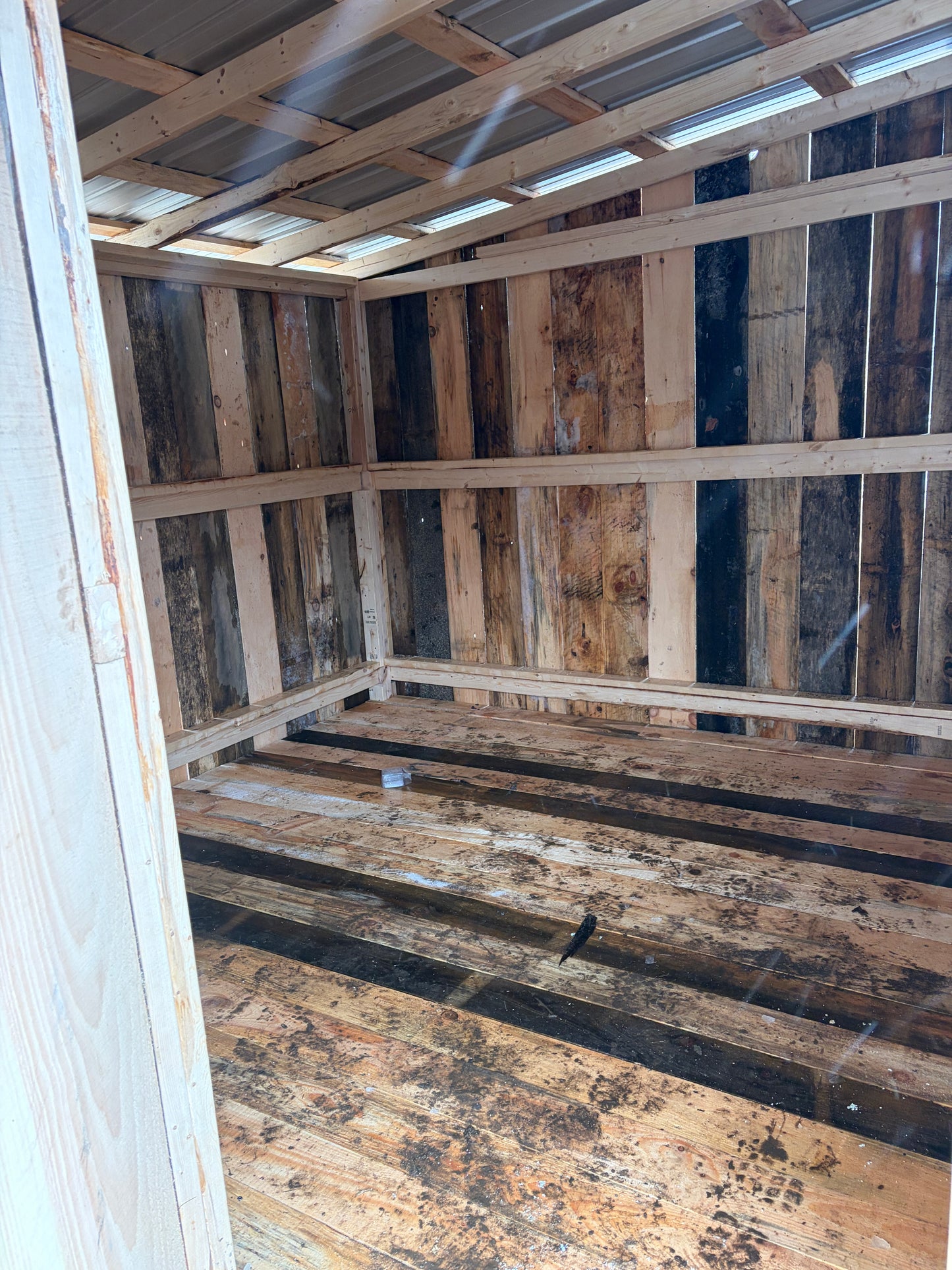 Abris pour chèvres,moutons ou poney