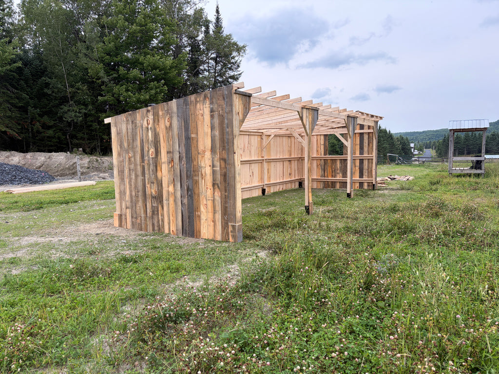 Abris à chevaux 10x30