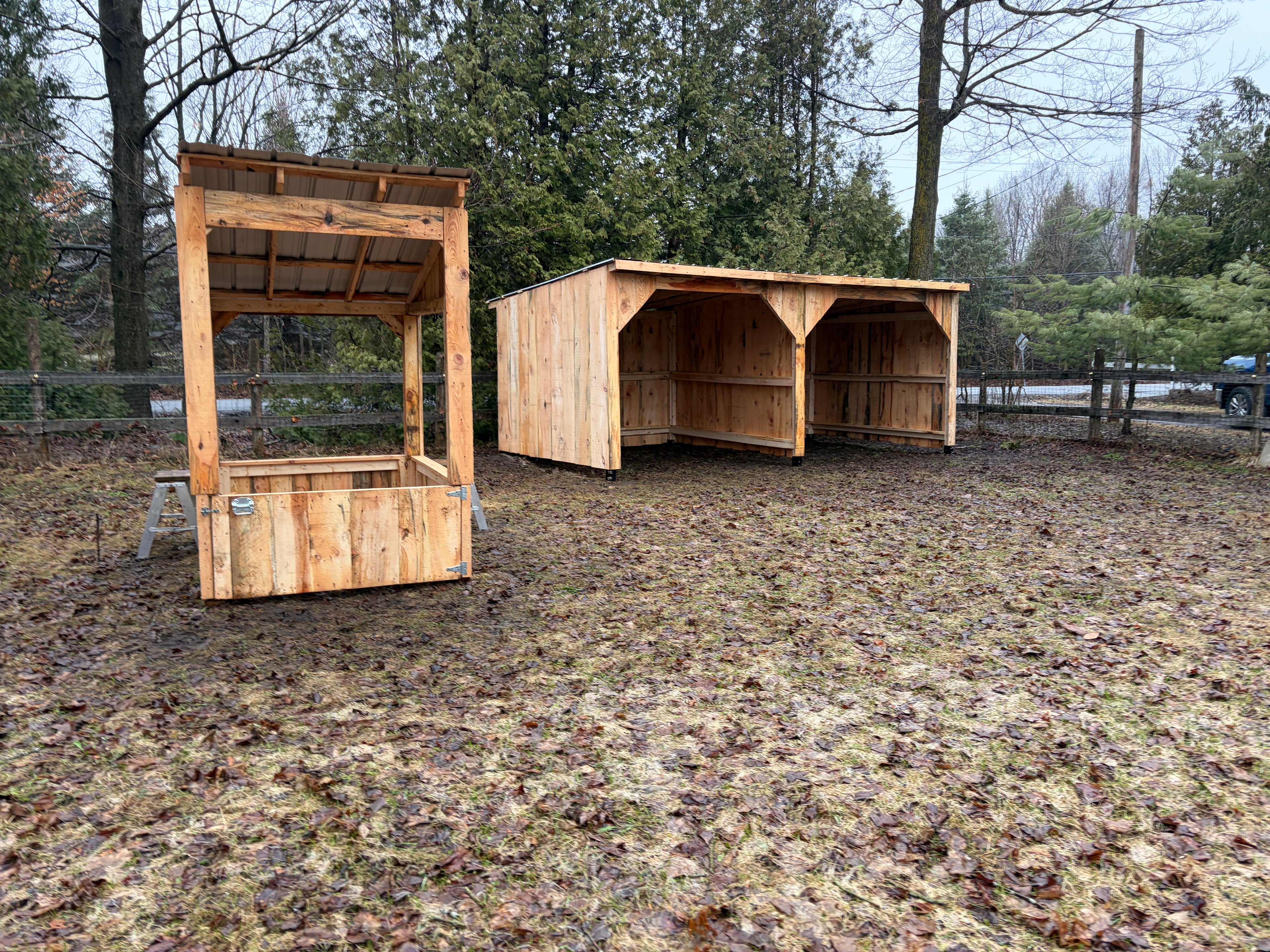 Abris à chevaux 10x20