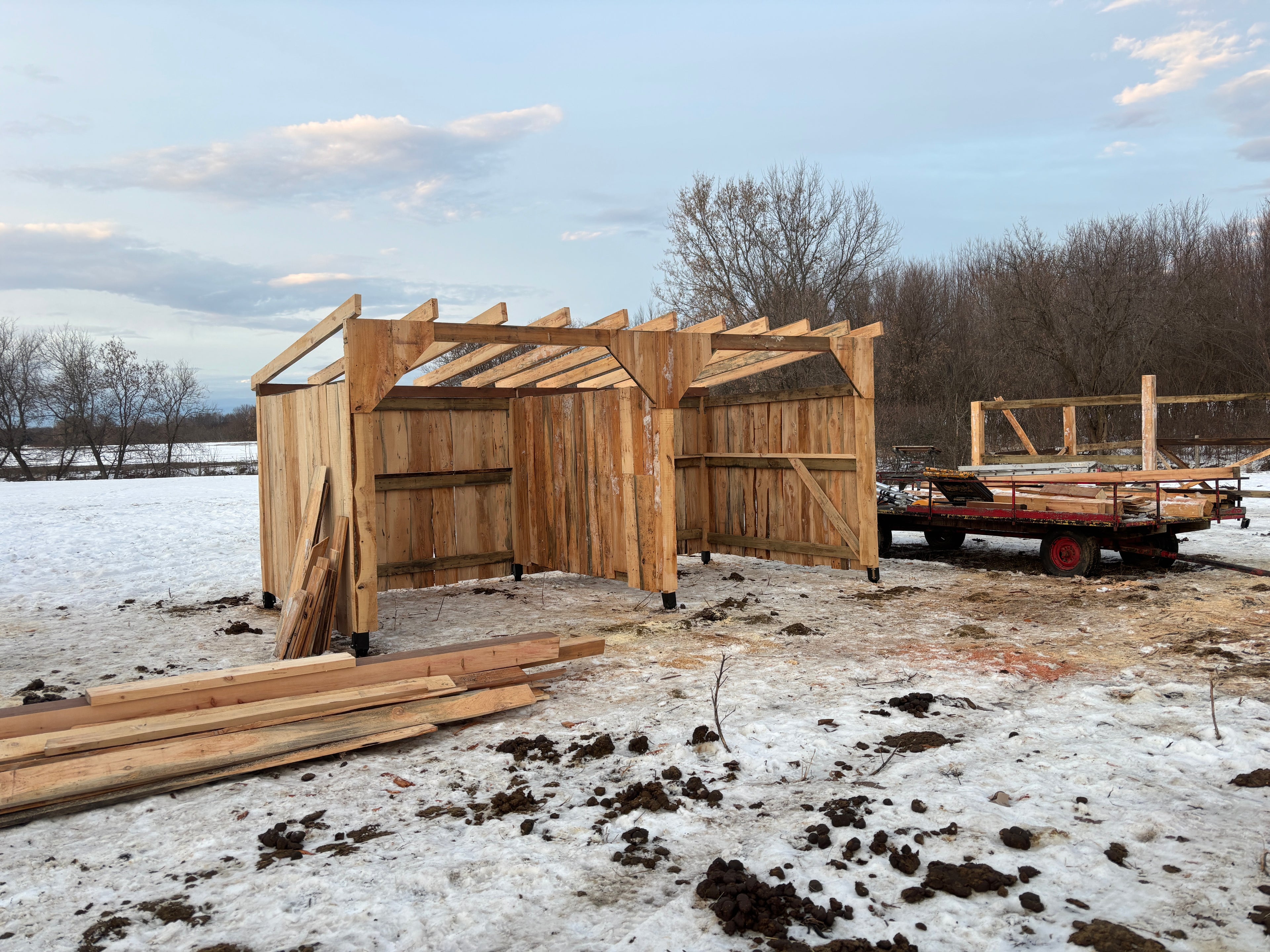 Abris pour chevaux 10x20