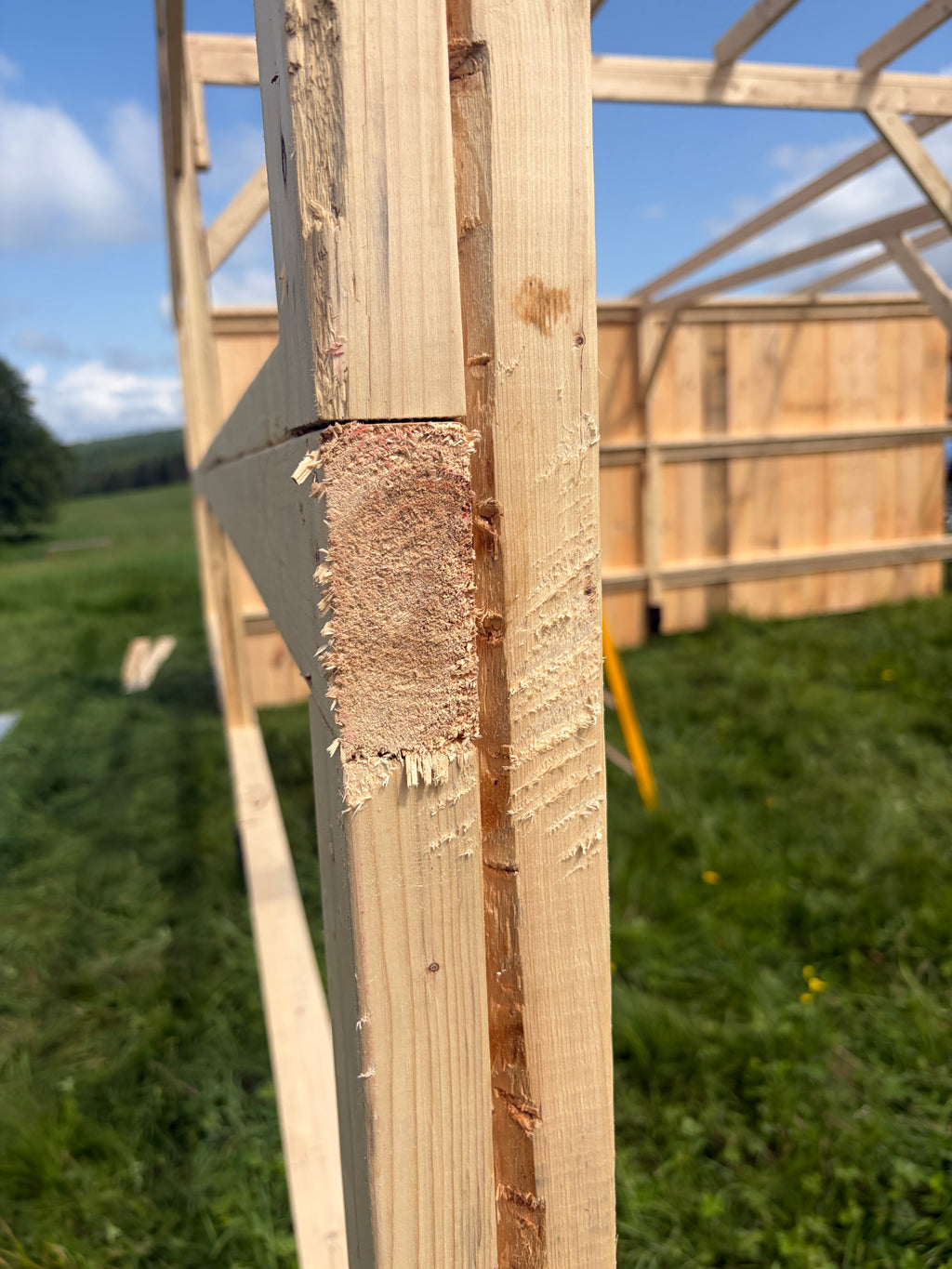 Abris à chevaux 10x30